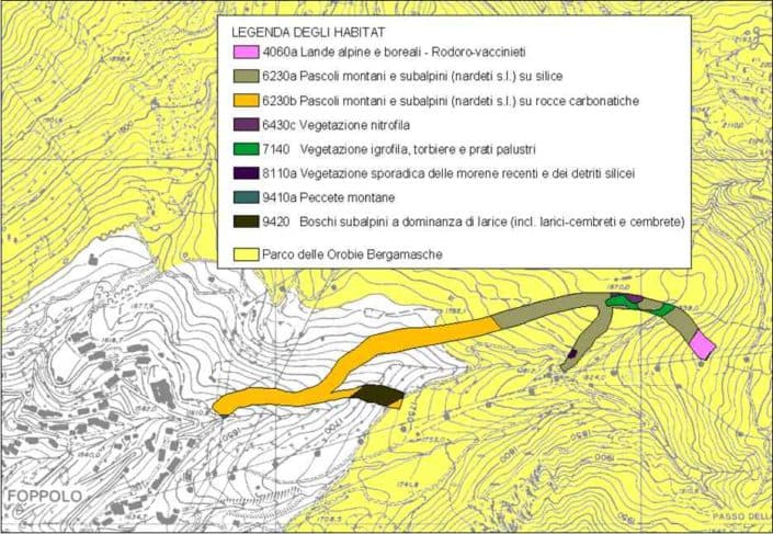 Hattusas SRL - paesaggio ed ecologia - piani naturalistici comunali - PNC - carta habitat RN2000 - Foppolo - Bergamo